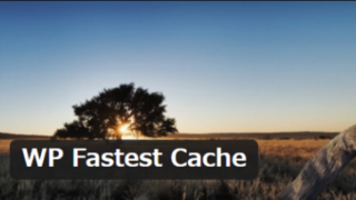 「wp fastestcache」の画像