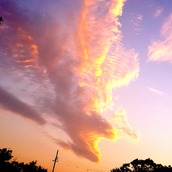 電話占いココナラの龍遣八景(はっけい)先生のアイコン画像