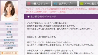 電話占いフィールのりぼん先生のプロフィール画像