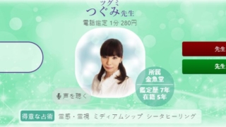 電話占いヴェルニのつぐみ先生のプロフィール画像
