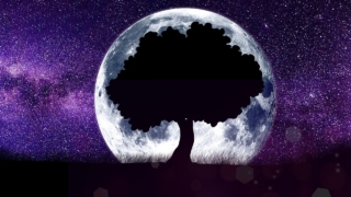 電話占いの西洋占星術のイメージ画像