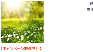 電話占いリエルの映満(えま)先生の画像